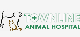 Townline Logo