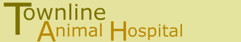 Townline Animal Hospital