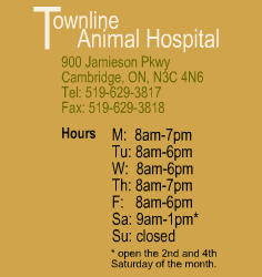 Townline Animal Hospital, 900 Jamieson Pkwy, Cambridge, ON. Tel: 519-629-3817