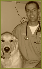 Dr Waddell