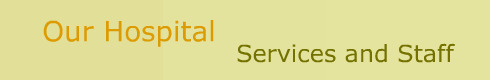 Services